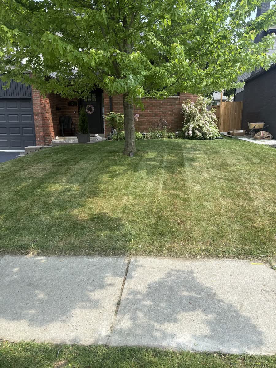 A trimmed front lawn with edged flower beds beside the driveway