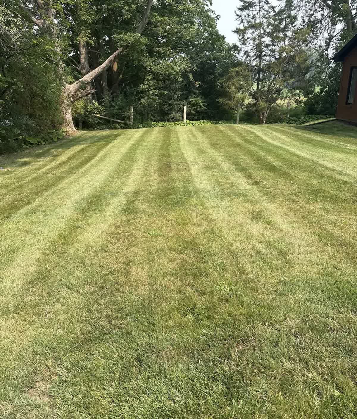 A large rural lawn cut in even stripes, bordered by mature trees